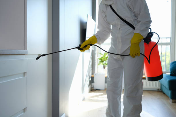 Mold Odor Removal Services in Newton, IL